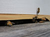 Entrance Reducer